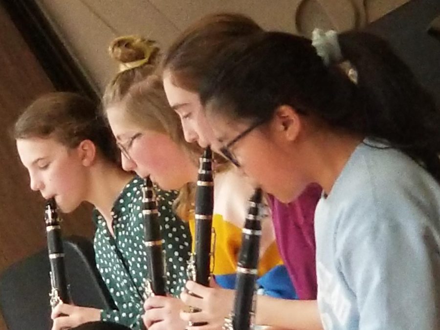 The clarinet is also a woodwind instrument . Clarinets are popular among musicians in the school band.