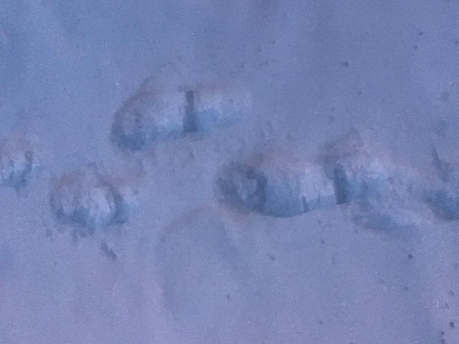 Everyone has a chance to make their mark in the snow. Footprints decorate this soft, white blanket that fell from the sky.