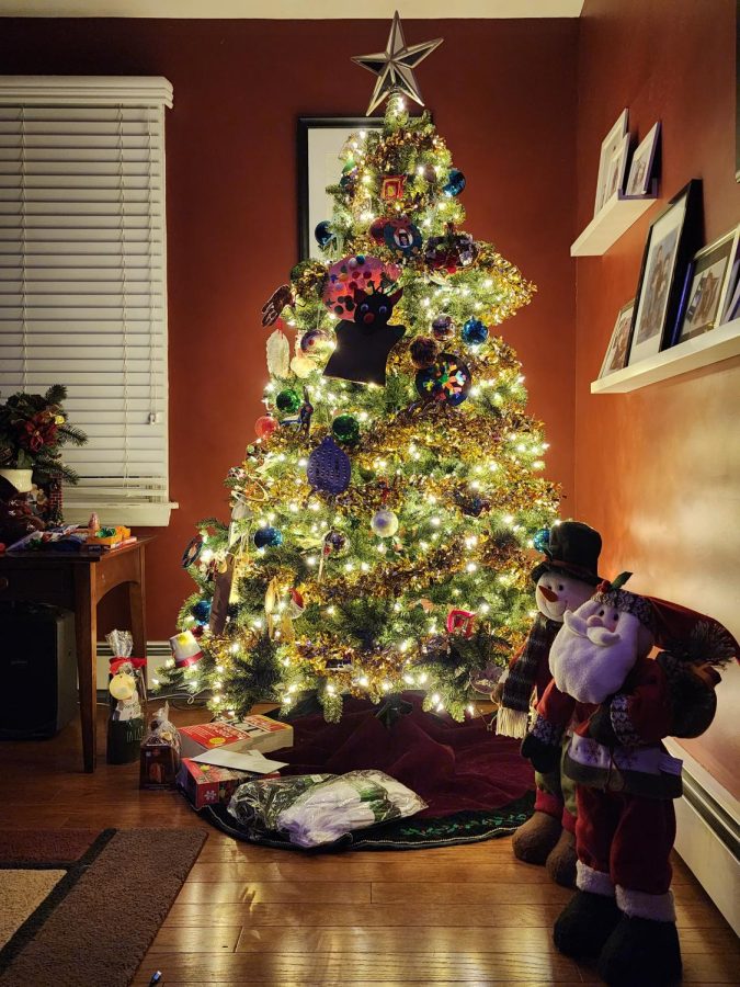 The tradition of the Christmas tree in the U.S. dates back to the 1800s, according to one history website.