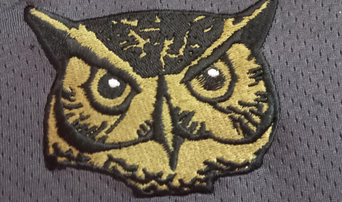 The owl is the logo for Park Ridge-Emerson football teams.
