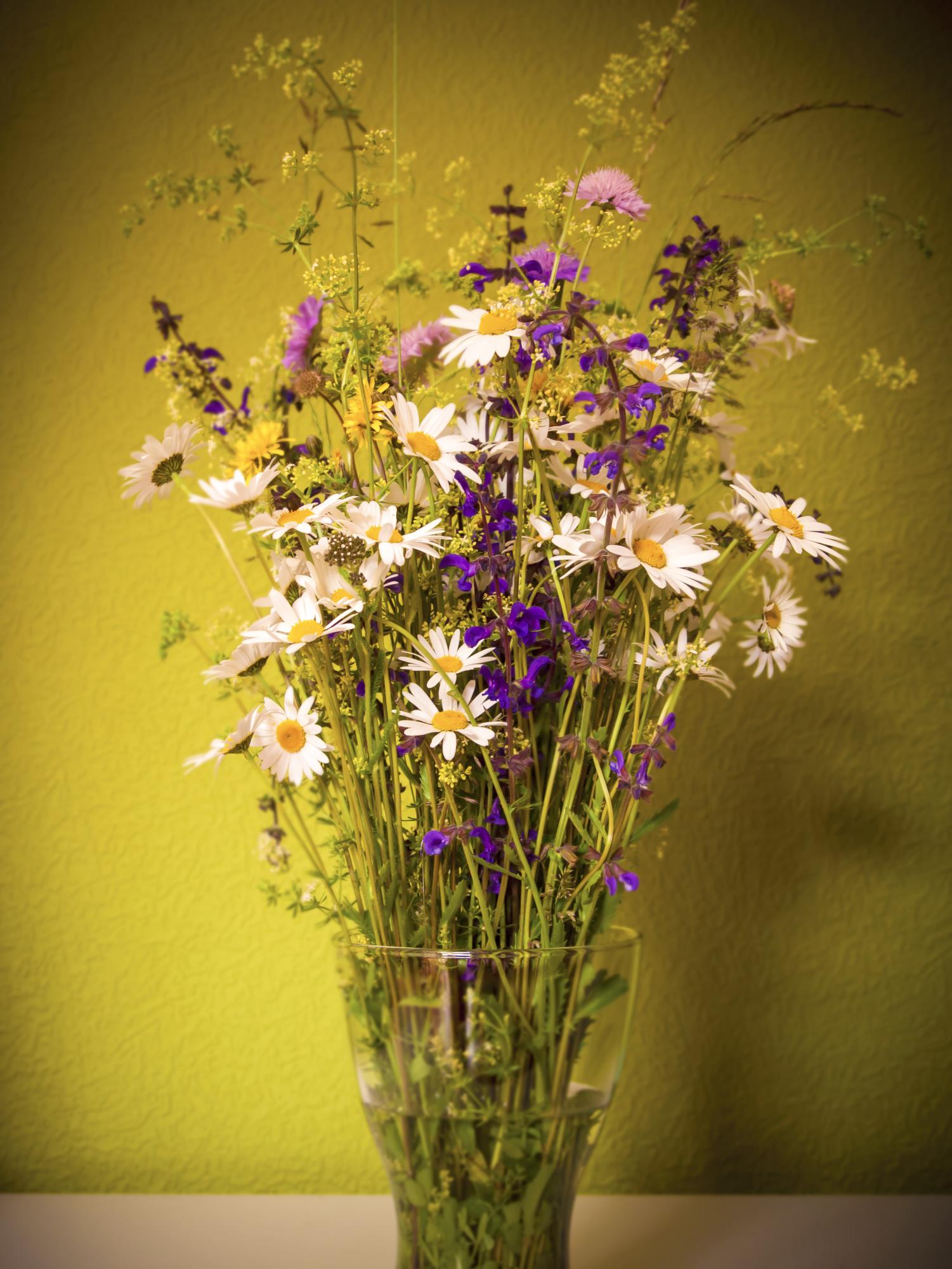 Flowers are often given as a sign of appreciation on Mother's Day.