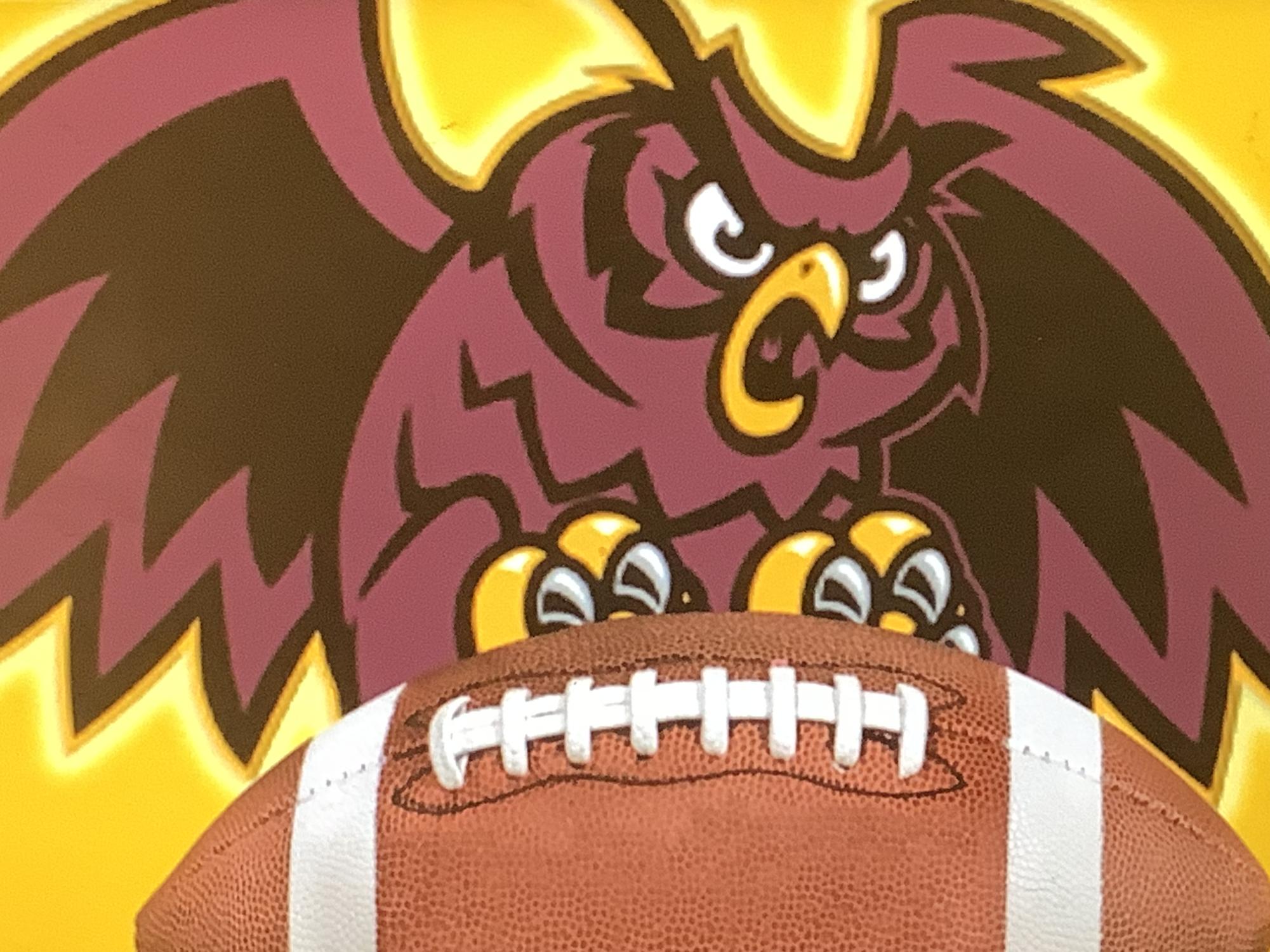 Junior players wear uniforms with the Park Ridge logo. It is a maroon owl holding a football. 