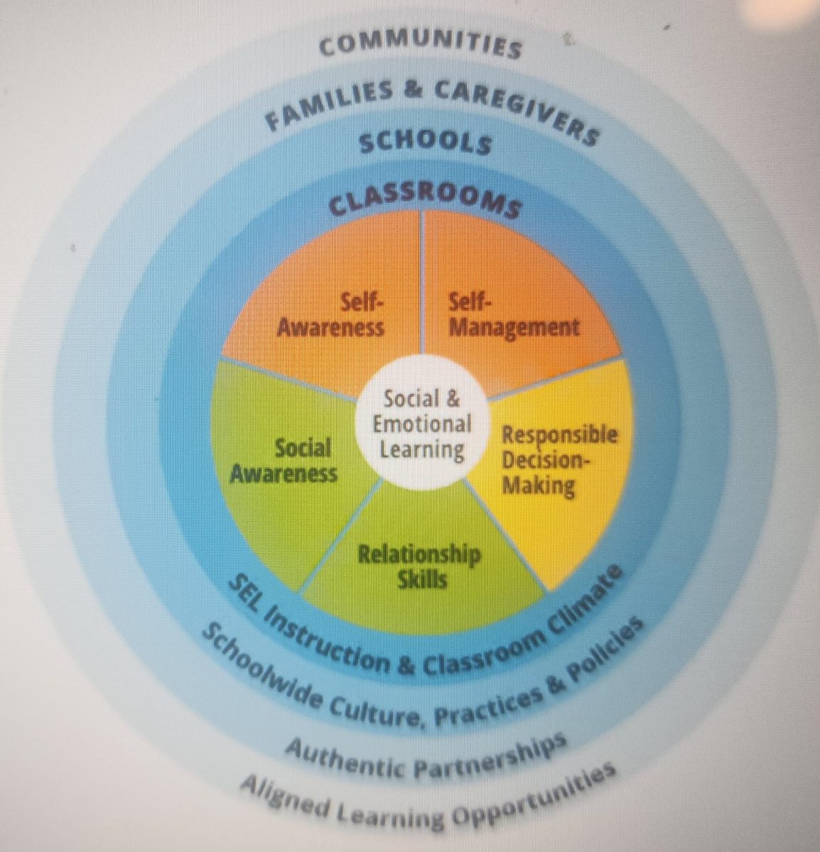 Self-awareness is an important part of the “CASEL wheel”. CASEL stands for  Collaborative for Academic, Social, and Emotional Learning. It's a group of people dedicated to social-emotional lessons.