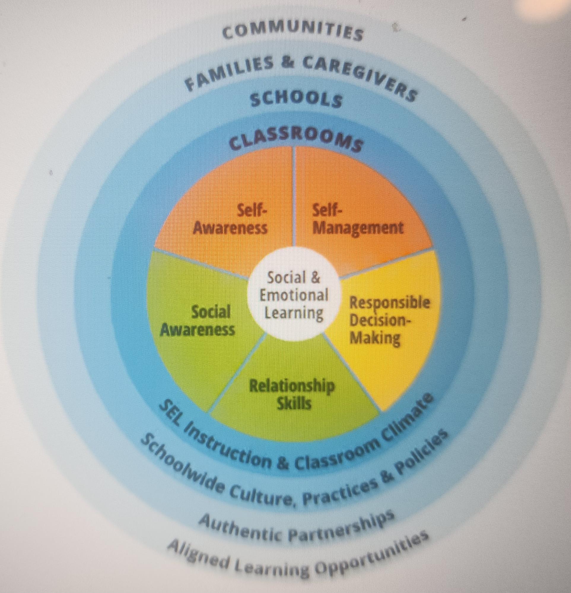 Self-awareness is an important part of the “CASEL wheel”. CASEL stands for  Collaborative for Academic, Social, and Emotional Learning. It's a group of people dedicated to social-emotional lessons.
