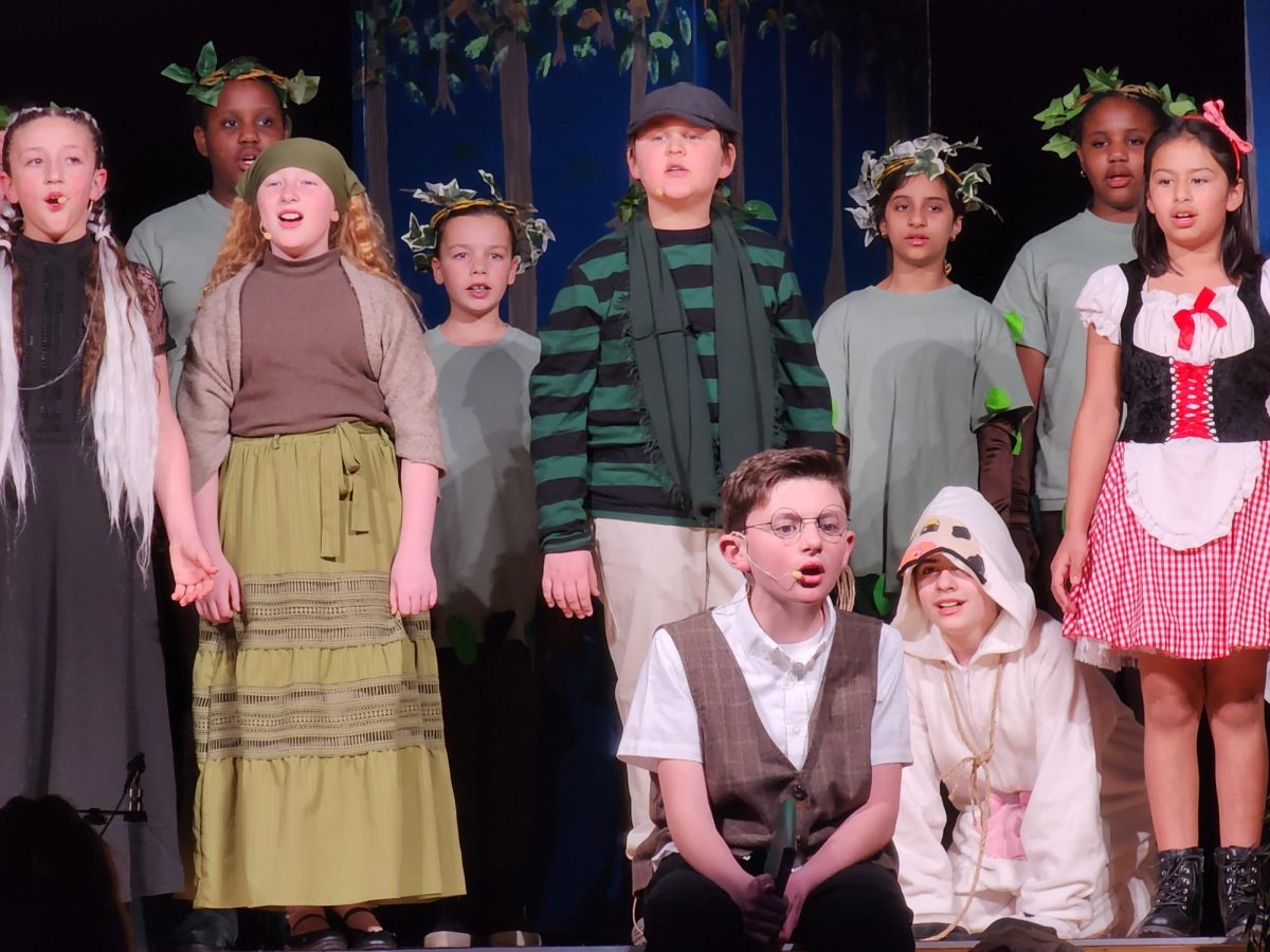 Many student performers said they'll likely participate in future school productions.