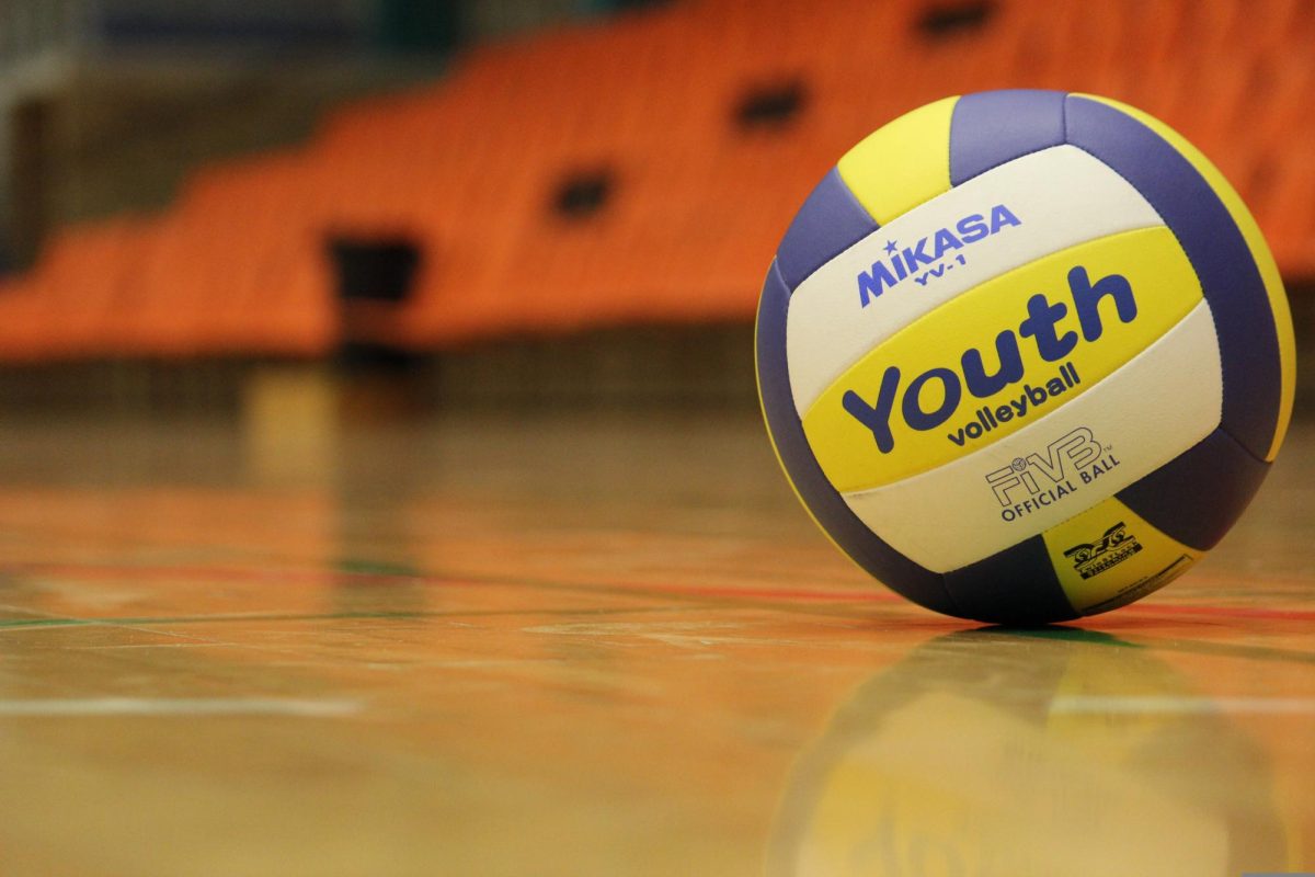 High school volleyball players assisted at the clinic sessions.